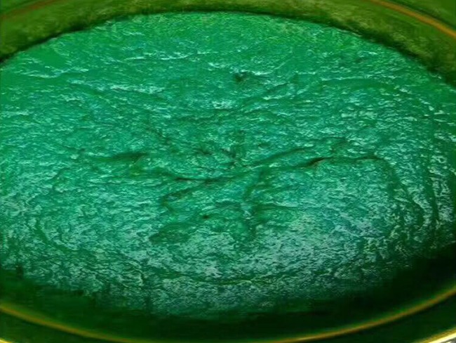耐蝕鱗片膠泥在脫硫煙道中的應用